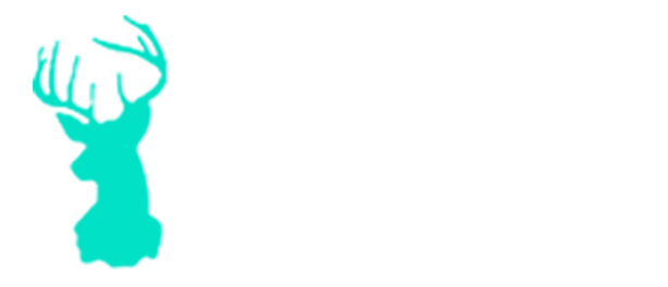 Cairo Care